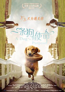 91最新网站免费